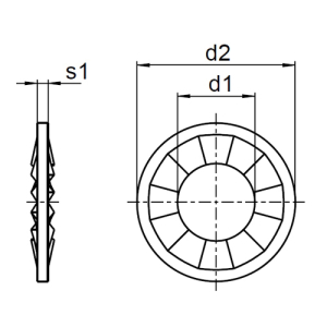 1x Fächerscheibe M10  (DIN 6798 - Form J, A2)